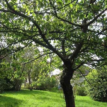Maison avec grand jardin pour 15 couchages en Normandie Cairon Chambre photo